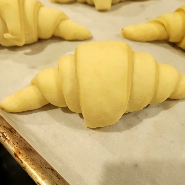 20230212_063746